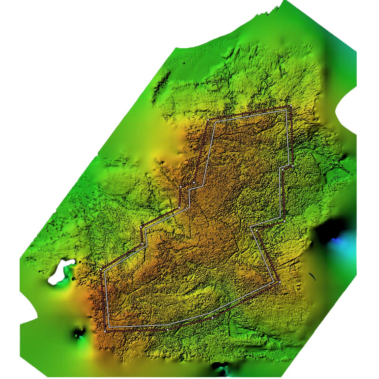 Waldvermessung